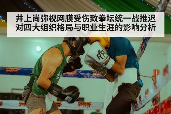 boxing ring gloves