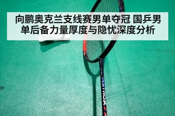 向鹏奥克兰支线赛男单夺冠 国乒男单后备力量厚度与隐忧深度分析